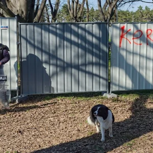 Foto-Predrag-Trokicic-807