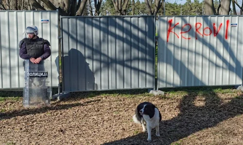 Foto-Predrag-Trokicic-807